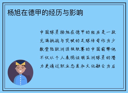 杨旭在德甲的经历与影响