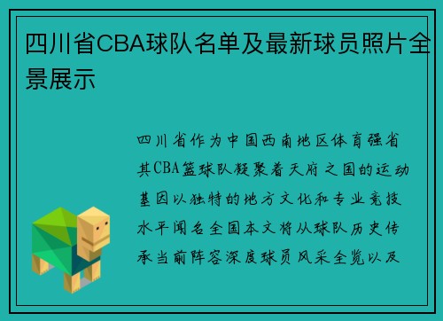 四川省CBA球队名单及最新球员照片全景展示